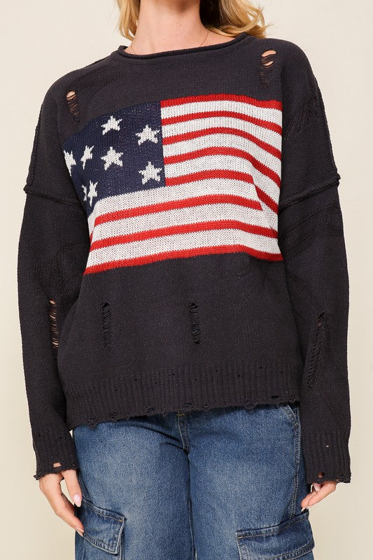 Lauren USA Sweater