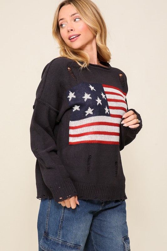Lauren USA Sweater