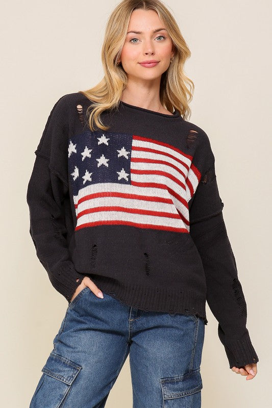 Lauren USA Sweater