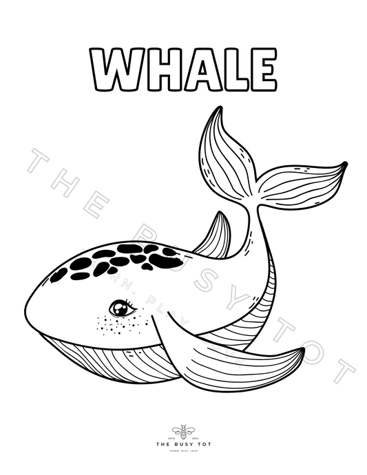SUMMER ACTIVITY KIT- DOWNLOAD