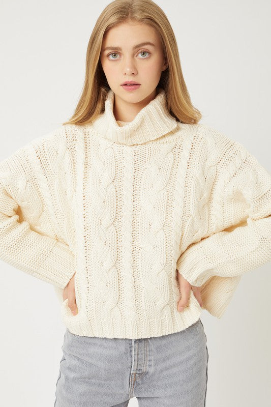 CABLE KNIT TURTLE NECK