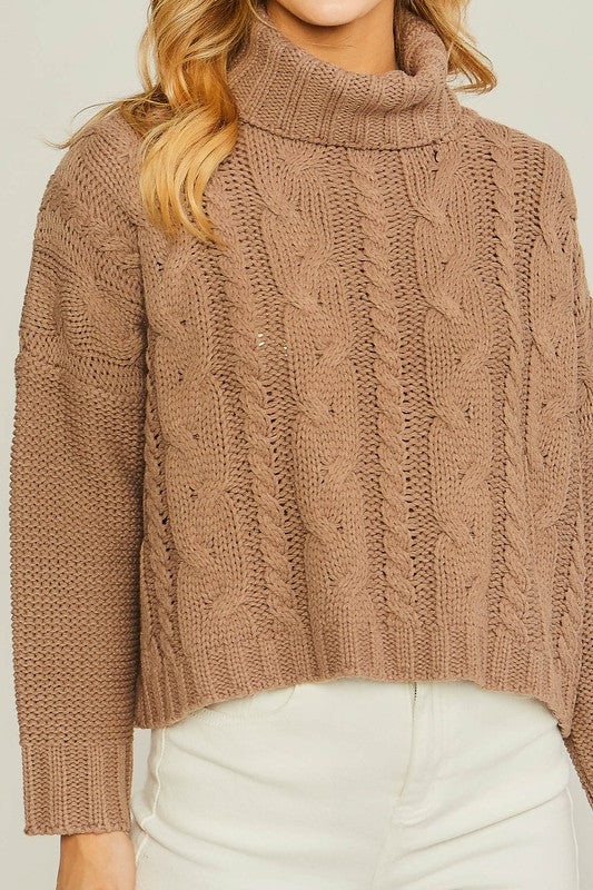 CABLE KNIT TURTLE NECK